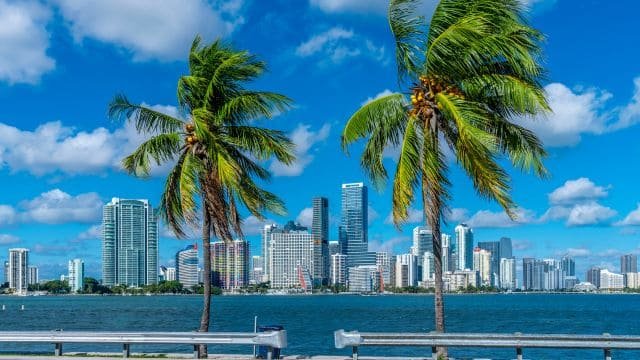 miami_local_seo