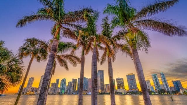 miami_seo_experts
